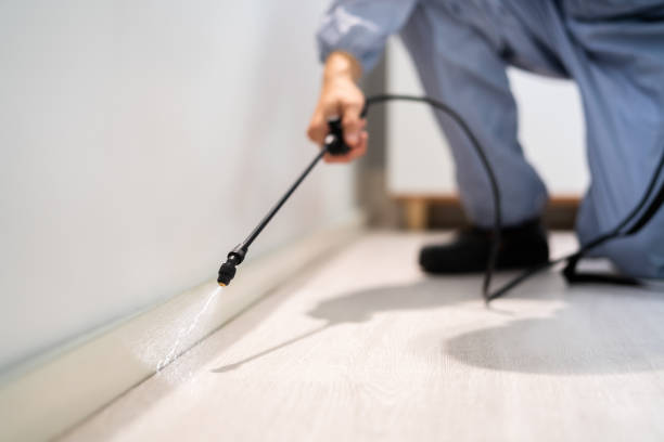 Licensed Termite Control service in West Columbia, TX - Nex Pest Control