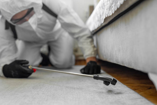 Professional Termite Control technician working in West Columbia, TX