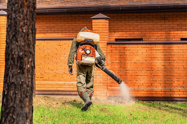 Trusted Fumigation Services service in West Columbia, TX - Nex Pest Control